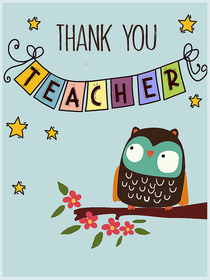 Thank You Teacher Owl Greeting Card